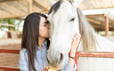 Equine Therapy