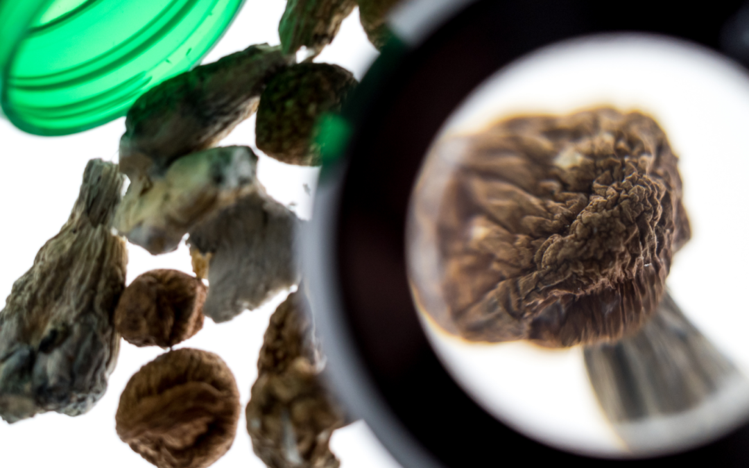 PSYCHEDELICS (PSILOCYBIN / MAGIC MUSHROOMS)