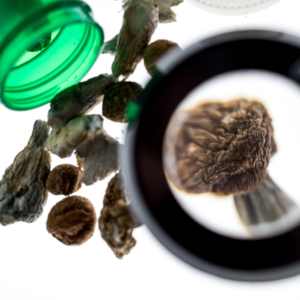 PSYCHEDELICS (PSILOCYBIN _ MAGIC MUSHROOMS)